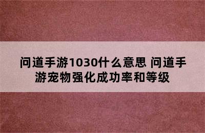 问道手游1030什么意思 问道手游宠物强化成功率和等级